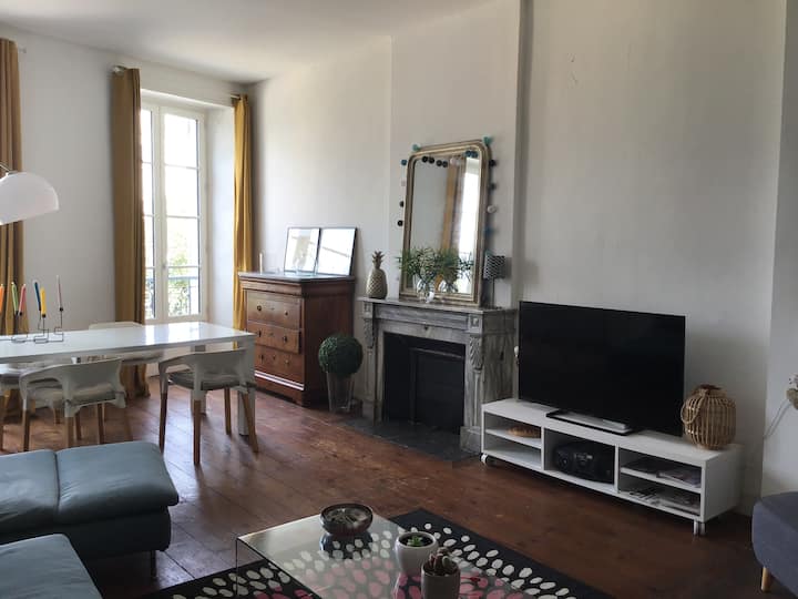 Bel  Appartement Hyper Centre - Ibis Pau Centre
