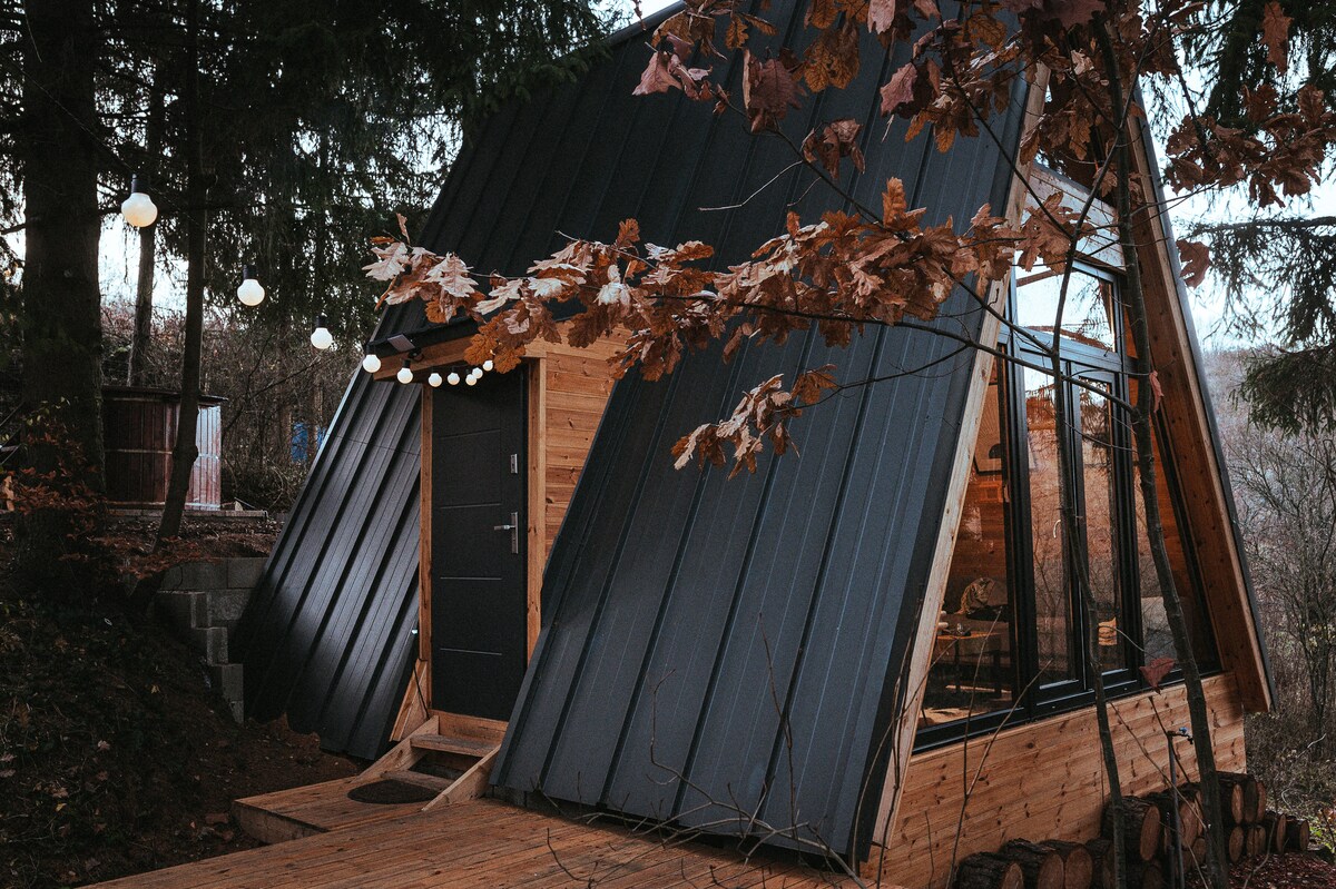A quaint cabin features a distinct a-frame design with a sloped black roof. Large windows invite natural light inside, while surrounding autumn foliage adds a touch of color. A wooden porch leads to the entrance, providing a seamless connection to the outdoor space.