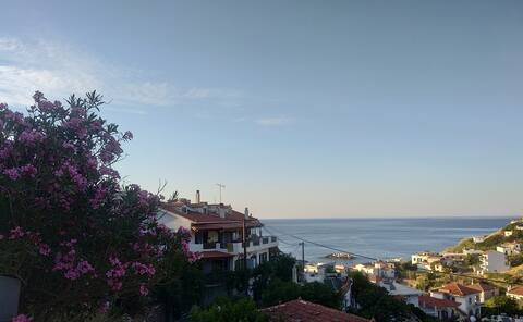 Raptis House