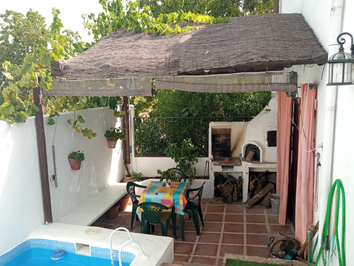 An outdoor patio features a shaded area with a thatched roof, furnished with a colorful tablecloth covering a table surrounded by chairs. A stone barbecue is visible in the background, complemented by potted plants and a small pool reflecting the greenery.