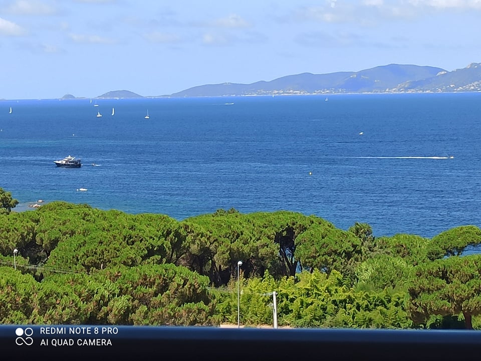 The image captures a panoramic view of the bay, featuring calm blue waters and scattered sailboats. Lush greenery frames the foreground, complementing the distant hills and islands that gently rise from the horizon under a clear blue sky.