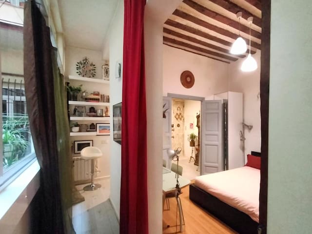 Beautiful loft in downtown Madrid
