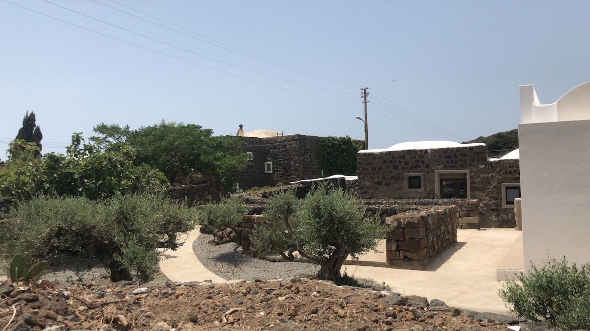 A tranquil outdoor space is surrounded by greenery and stone walls. Pathways meander through the property, leading past olive trees and shrubs. The natural landscape complements the rustic buildings, blending seamlessly with the environment under a clear blue sky.