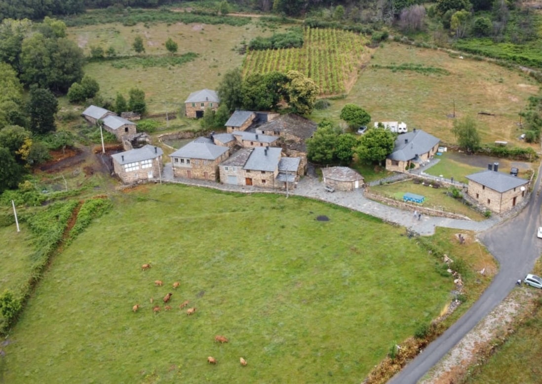 An aerial view of a serene mountain village showcases several stone houses with gray roofs surrounded by lush greenery. A few grazing cows are visible in the foreground, while a winding road leads into the village, emphasizing the tranquil, rural landscape.