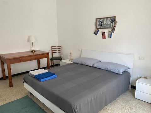 Newly renovated apartment, very bright