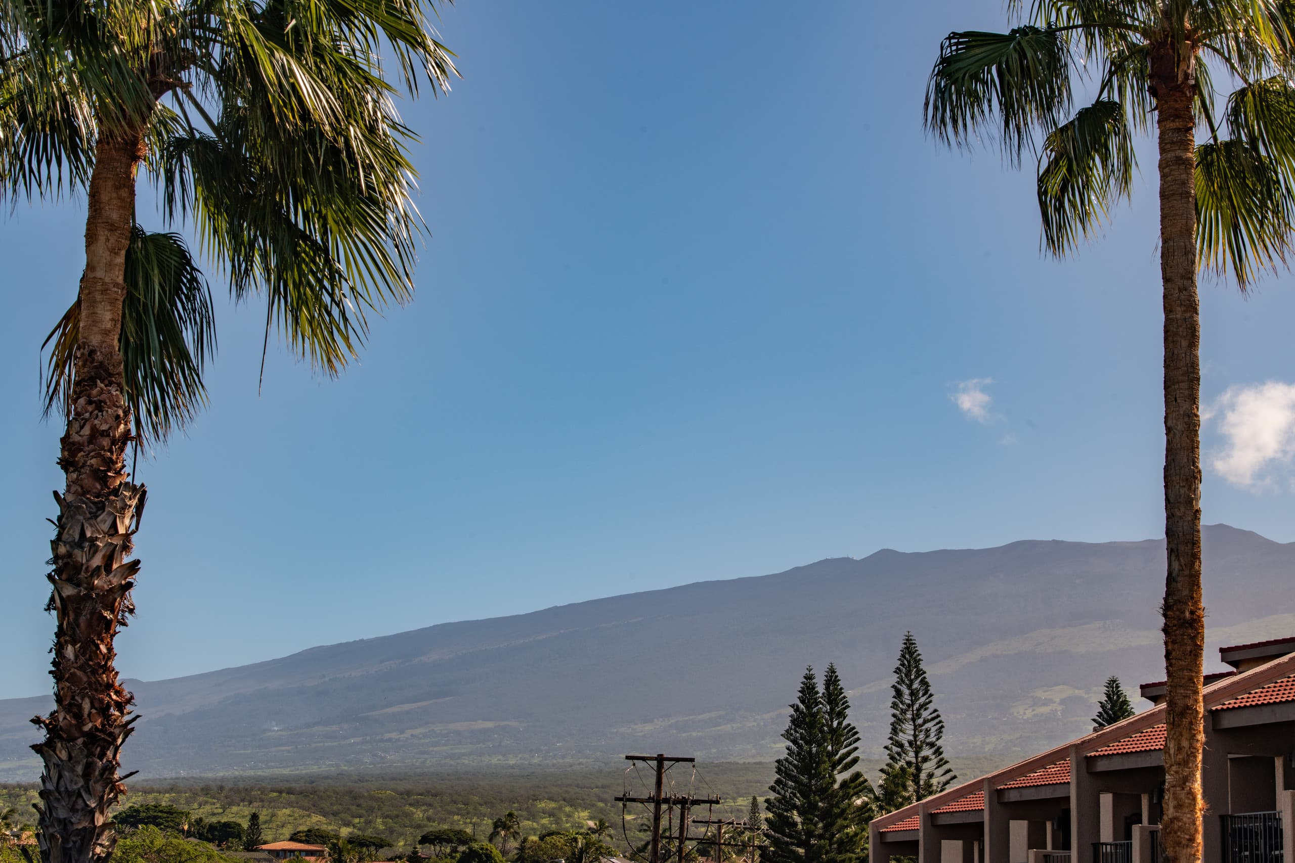 Condo in Kihei · ★4.84 · 2 bedrooms · 3 beds · 2 baths - Image 11