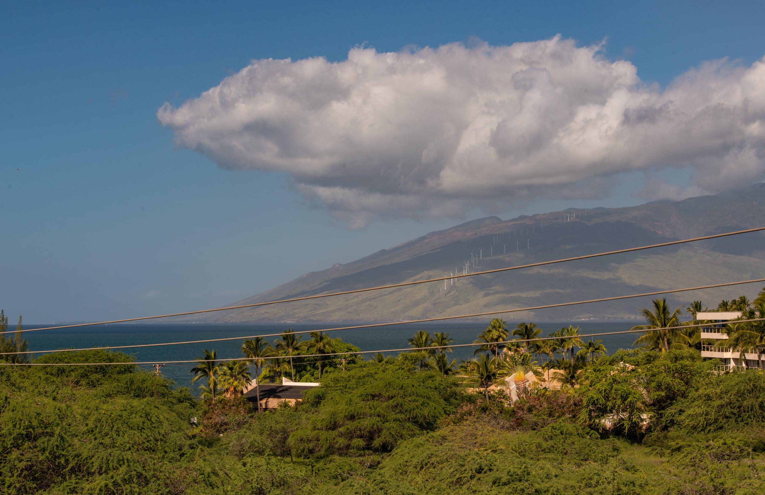 Condo in Kihei · ★4.84 · 2 bedrooms · 3 beds · 2 baths - Image 10