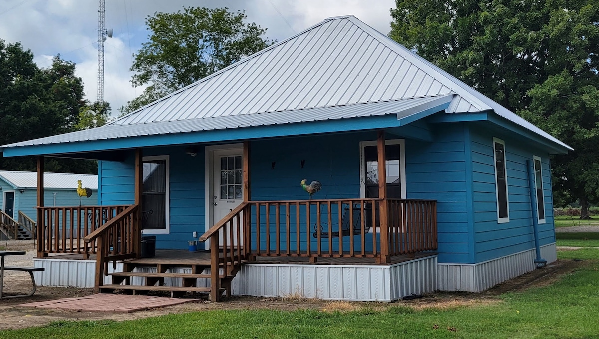 The exterior of a renovated shotgun house is displayed, featuring a vibrant blue façade and a metal roof. A porch with a wooden railing adds accessibility, while colorful bird decorations enhance the welcoming look. A grassy area surrounds the property, providing outdoor space.