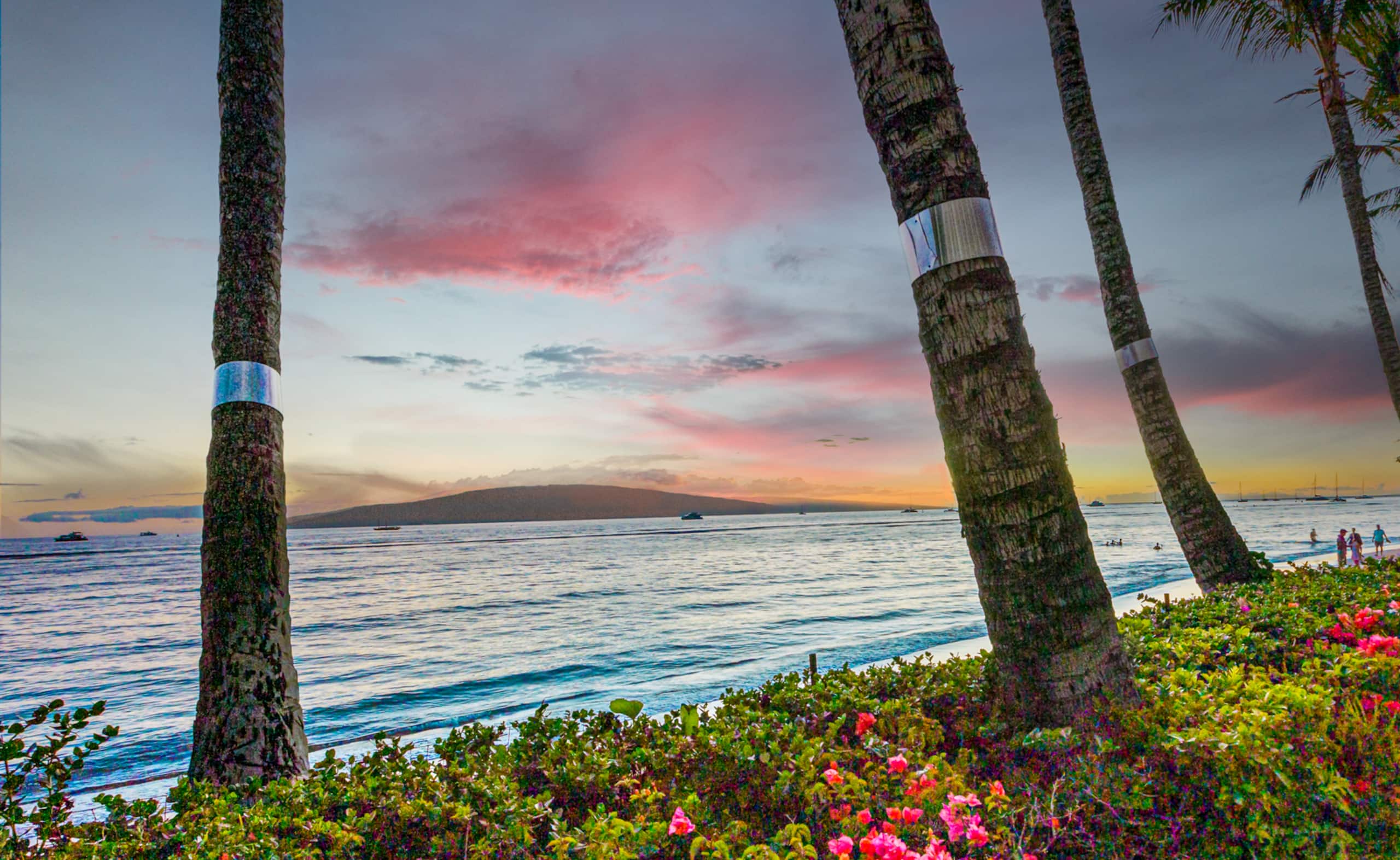 Condo in Lahaina · ★4.97 · 1 bedroom · 1 bed · 1 bath - Image 14
