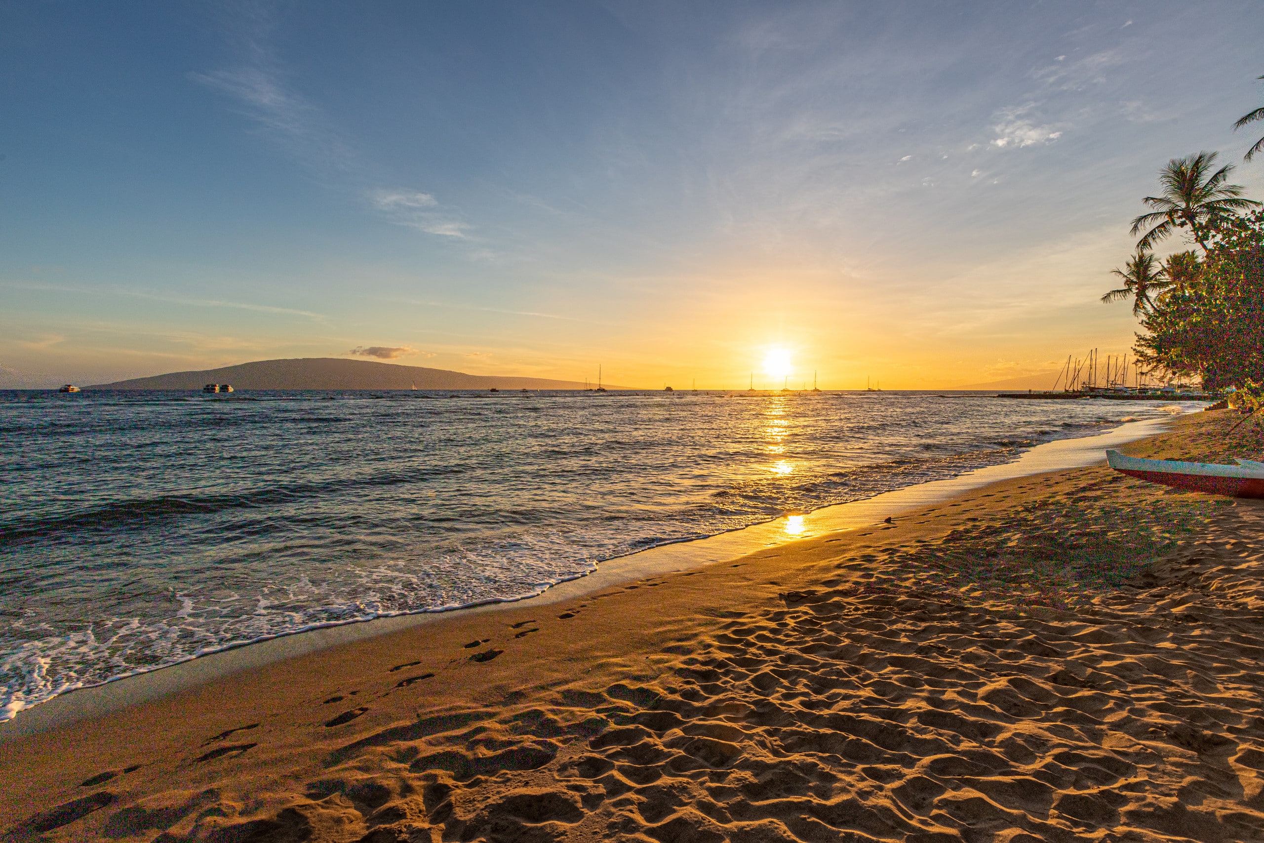 Condo in Lahaina · ★4.97 · 1 bedroom · 1 bed · 1 bath - Image 20