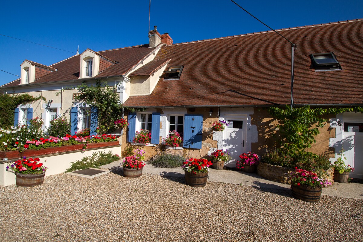 A charming facade of a rustic French cottage is adorned with blue shutters and surrounded by vibrant flower pots. The gravel pathway leads to the entrance, enhanced by floral displays that add color to the serene setting against a clear blue sky.