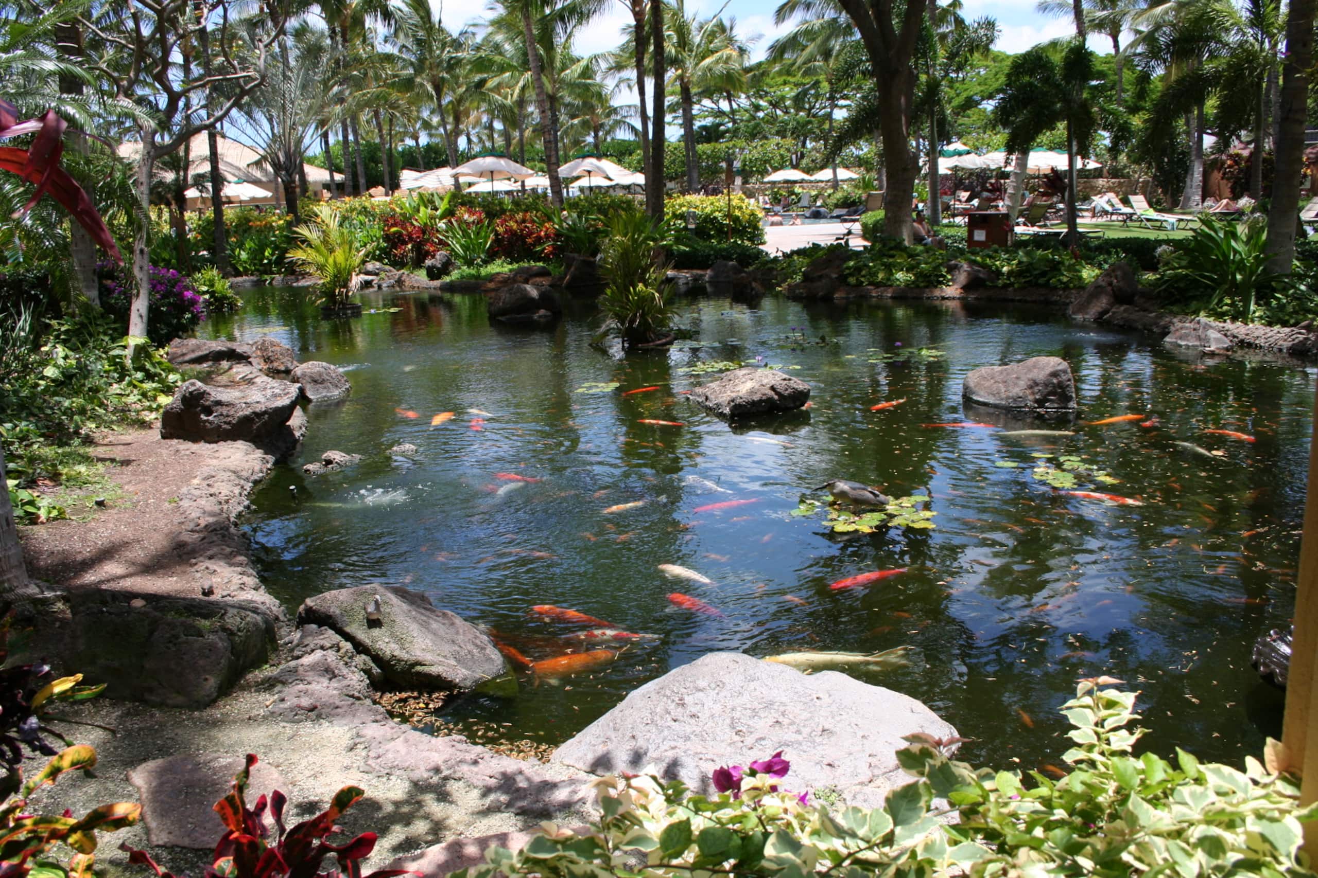 Resort in Kapolei · ★5.0 · 2 bedrooms · 4 beds · 2 private baths - Image 21
