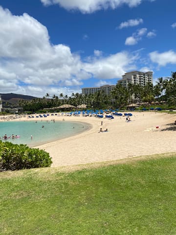 Hawaii 2 bedroom 2 bath villa with private beach