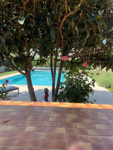 Life is good in the sun