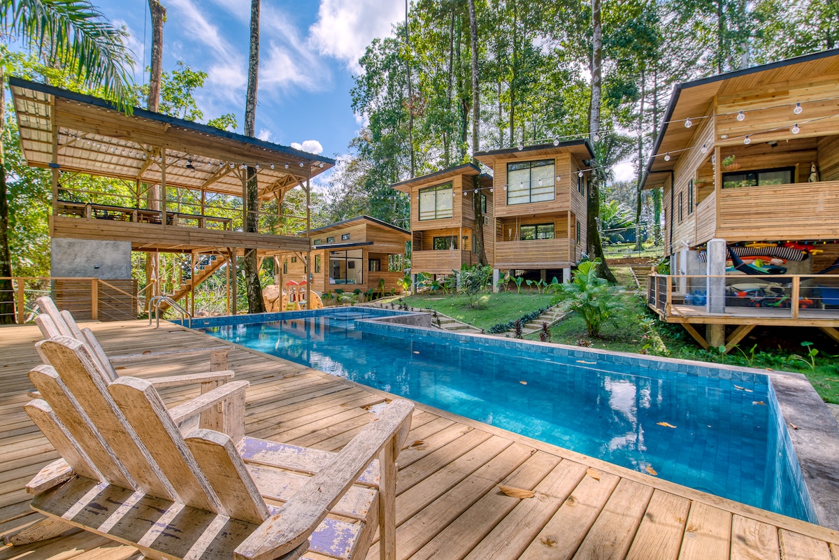 A shared pool is framed by wooden decking and surrounded by lush greenery. Four wooden cabins are positioned nearby, each featuring large windows and ample outdoor space. Comfortable lounge chairs are positioned to offer a relaxing spot near the water.