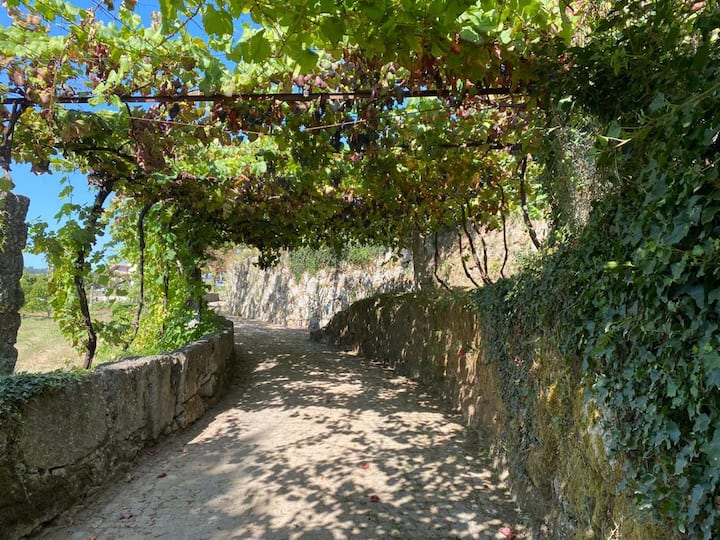 Quarto Privado Na Quinta Da Tulha - Guimarães
