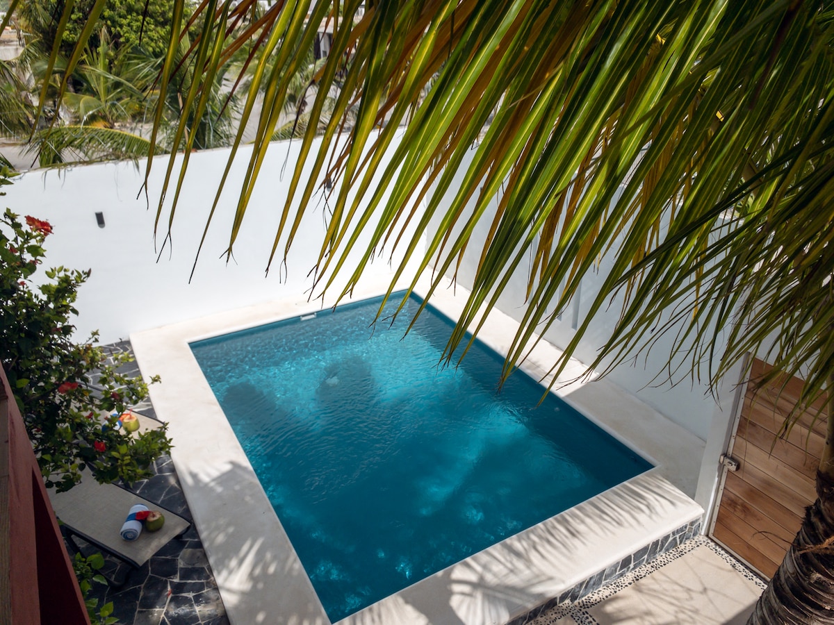 A private pool is framed by a well-maintained patio area, featuring stone accents and colorful poolside loungers. Lush palm leaves gently hang overhead, creating a sense of privacy. The clear water reflects the surrounding greenery, offering a serene outdoor retreat.