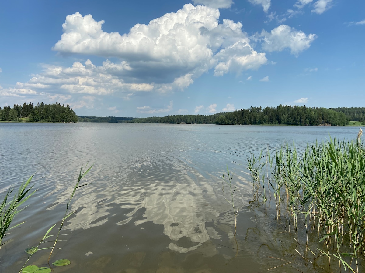 A serene lake scene is captured, characterized by calm waters reflecting soft clouds above. Tall reeds border the shoreline, and a wooded landscape extends into the distance, creating a peaceful natural setting.