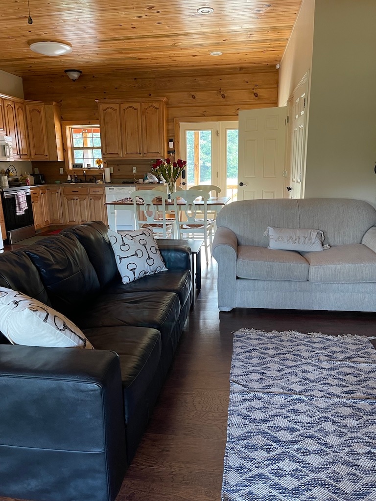 Living Room looking to kitchen. Light colored love seat is a pull-out.