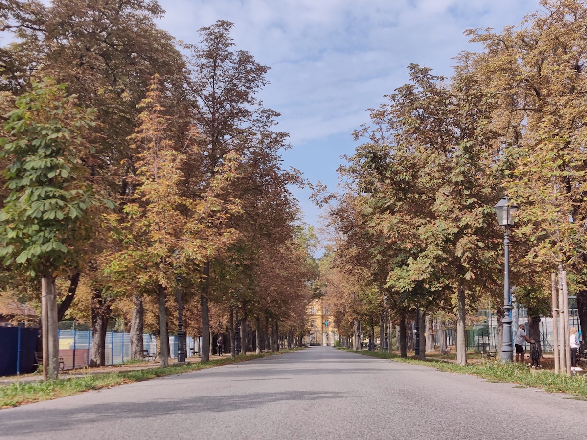 A tree-lined avenue is depicted, featuring trees with golden and green foliage. A paved road extends through the center, leading toward a distant building partially obscured by the trees. The sky above displays scattered clouds, suggesting a calm day.