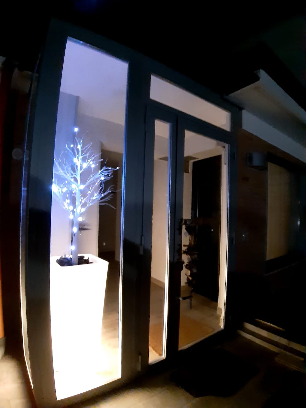 An entrance area is illuminated at night, featuring a sleek glass door flanked by a decorative white tree with soft blue lights. The warm glow enhances the inviting atmosphere, while the minimalist design complements the modern aesthetic of the space.