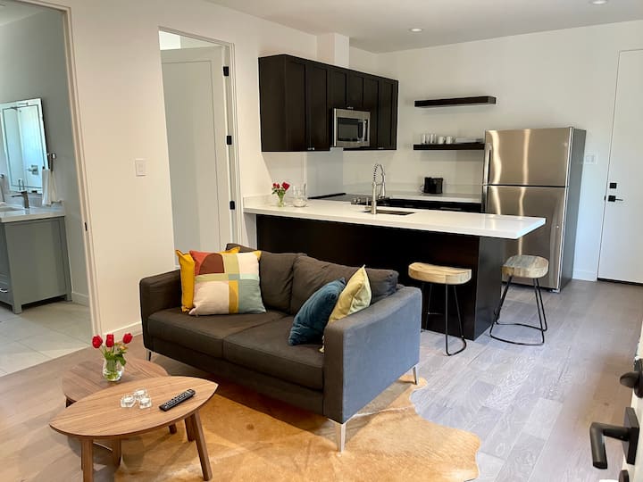Houston Heights Area, Modern Construction - Houston, TX