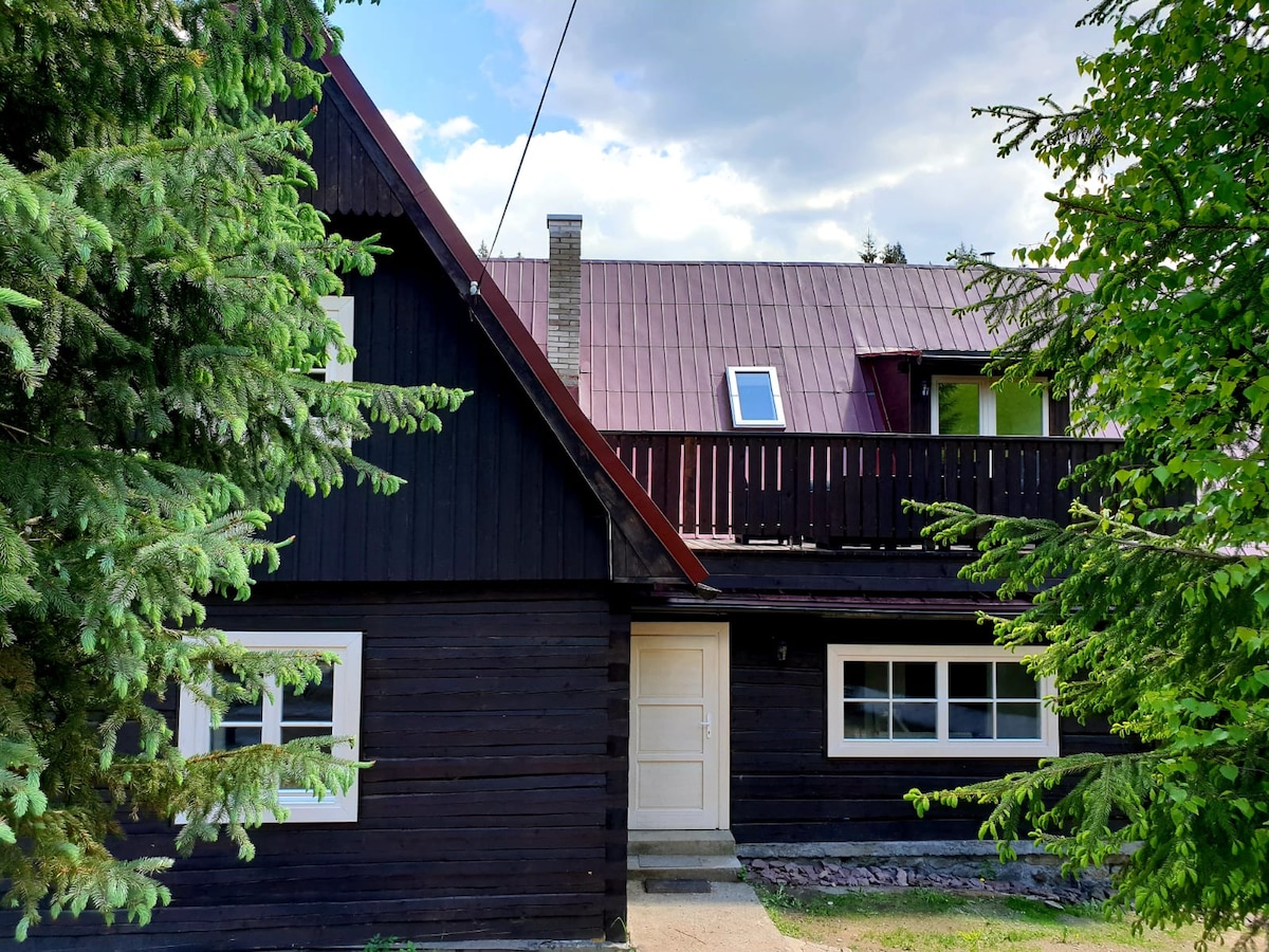 The exterior of a charming wooden cabin is visible, featuring a dark-hued façade complemented by a red roof. A balcony extends from the upper level, while lush greenery surrounds the structure, creating a natural setting. The entrance is marked by a simple white door and large windows.