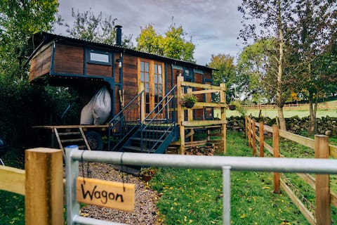‘The Wagon’ our newly converted vintage horsebox