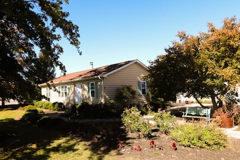 Maplewood - Simply Comfortable, Dog Friendly