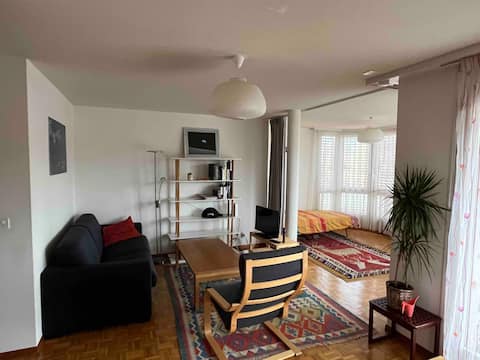 2 1/2 room apt. close to EPFL