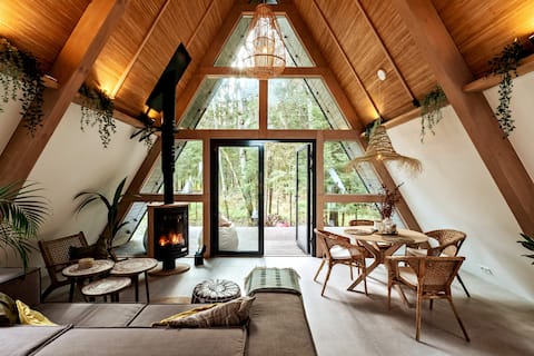 Large aframe house with fireplace and forest view