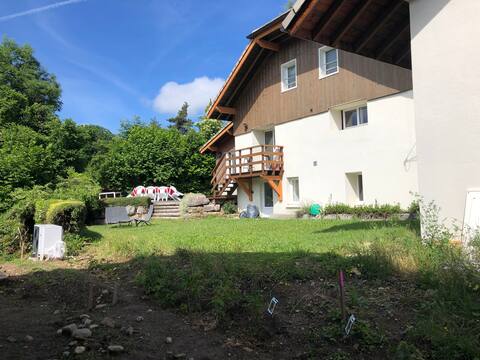 Large farm with studio (12+3)