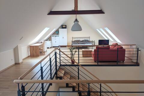 A cozy bright barn near the Dyck Castle