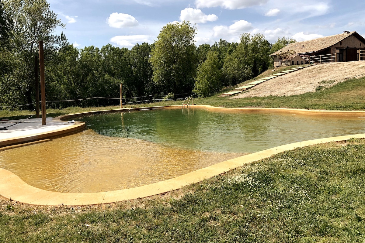 A natural swimming pool is set against a backdrop of lush greenery, showcasing a gentle slope and sandy edges. Sunlight reflects off the clear water, while a rustic wooden building is visible in the background, complementing the serene outdoor environment.
