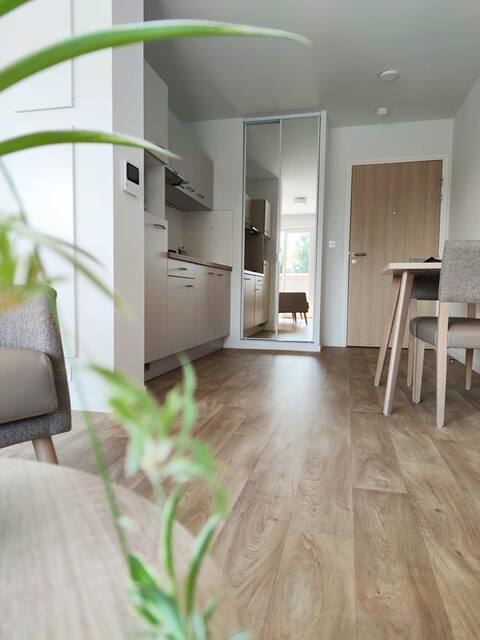 Lovely comfortable studio - 211