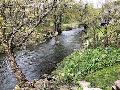 Private cottage perched on Lull's Brook