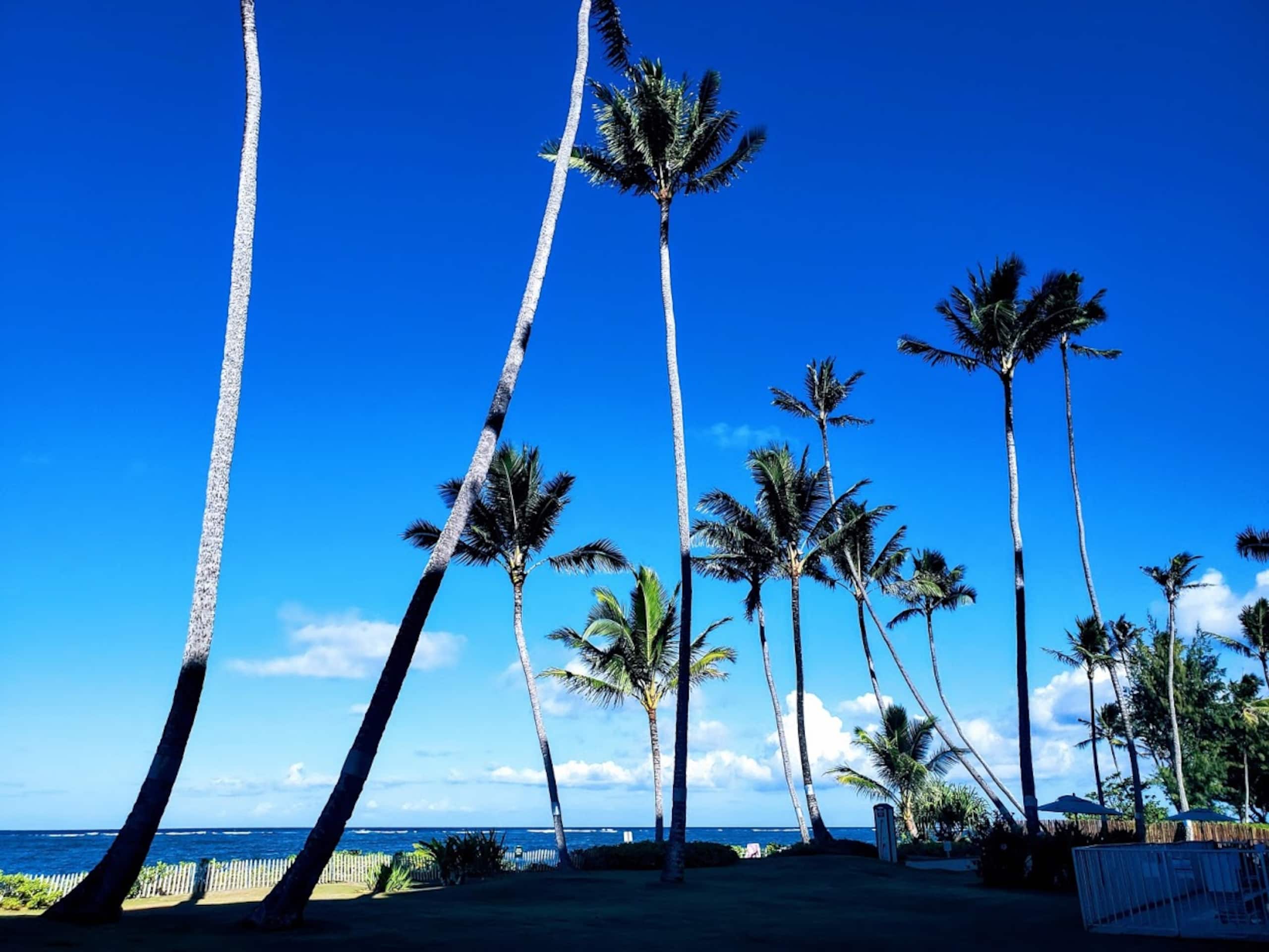 Condo in Hauula · ★4.67 · 1 bedroom · 2 beds · 1 bath - Image 26
