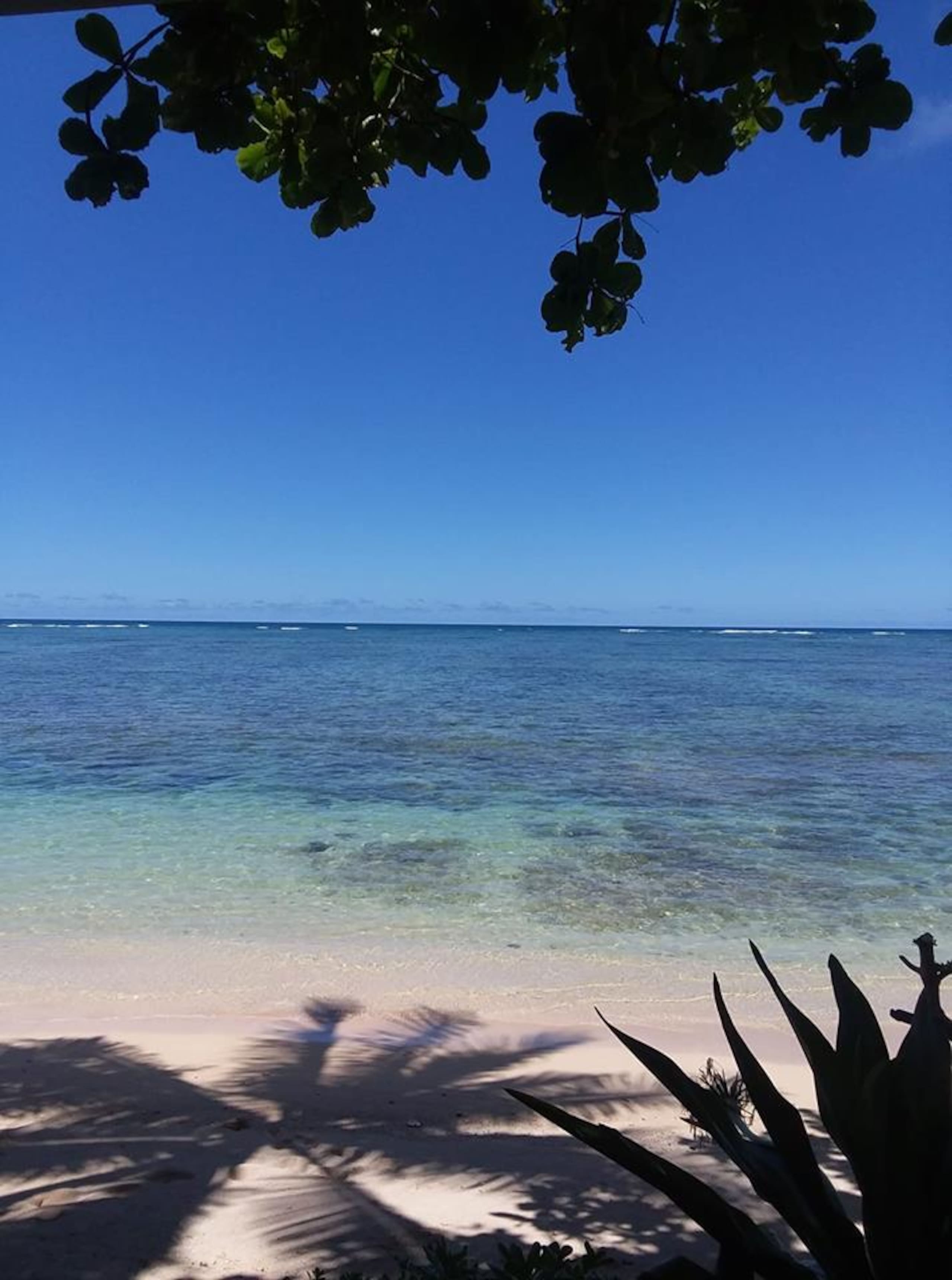 Condo in Hauula · ★4.67 · 1 bedroom · 2 beds · 1 bath - Image 3