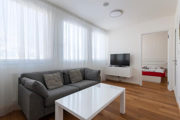 Free Parking | 250 Mb Wifi | 25 Min Walk To Center - براغ