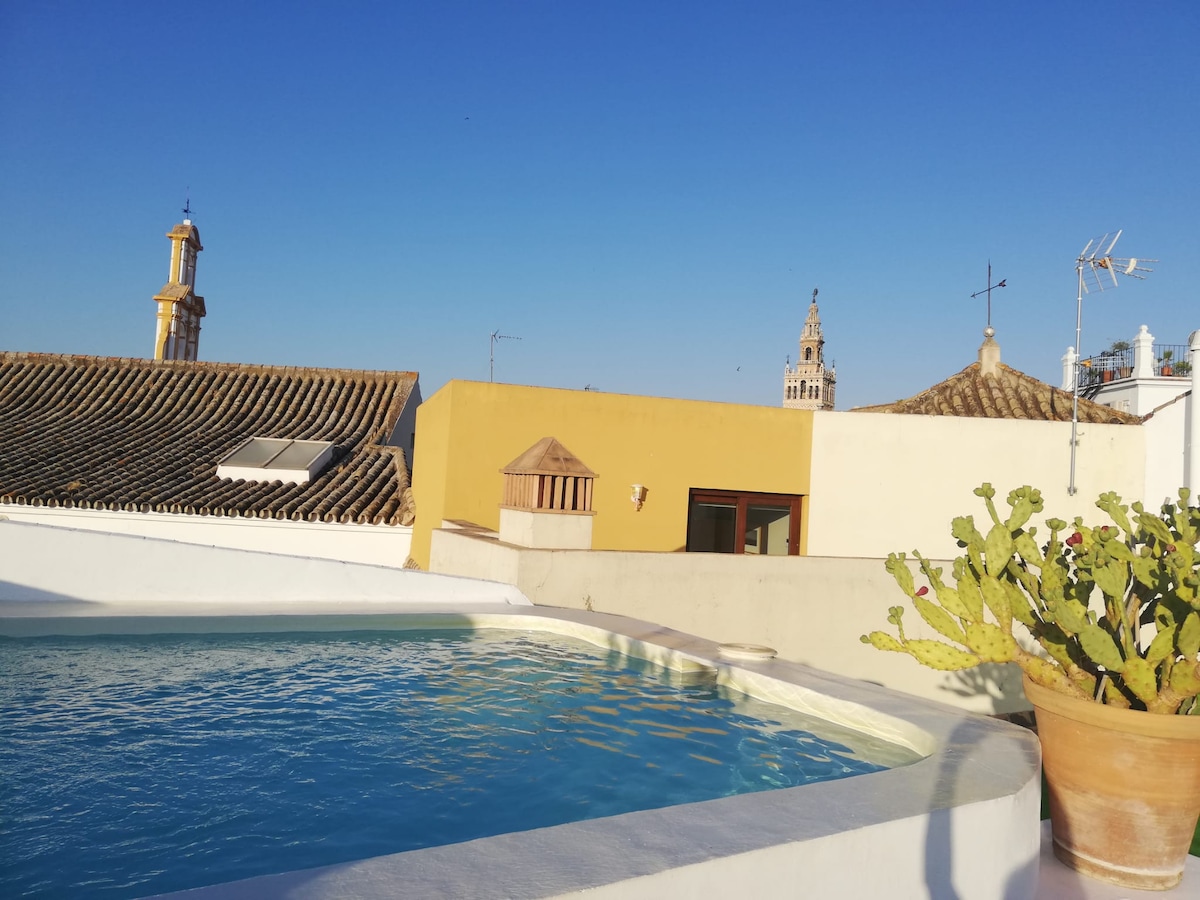 A rooftop space features a swimming pool surrounded by white and terracotta areas. In the backdrop, historical towers rise against a clear blue sky. Decorative elements like a potted cactus add a touch of greenery to the serene setting.
