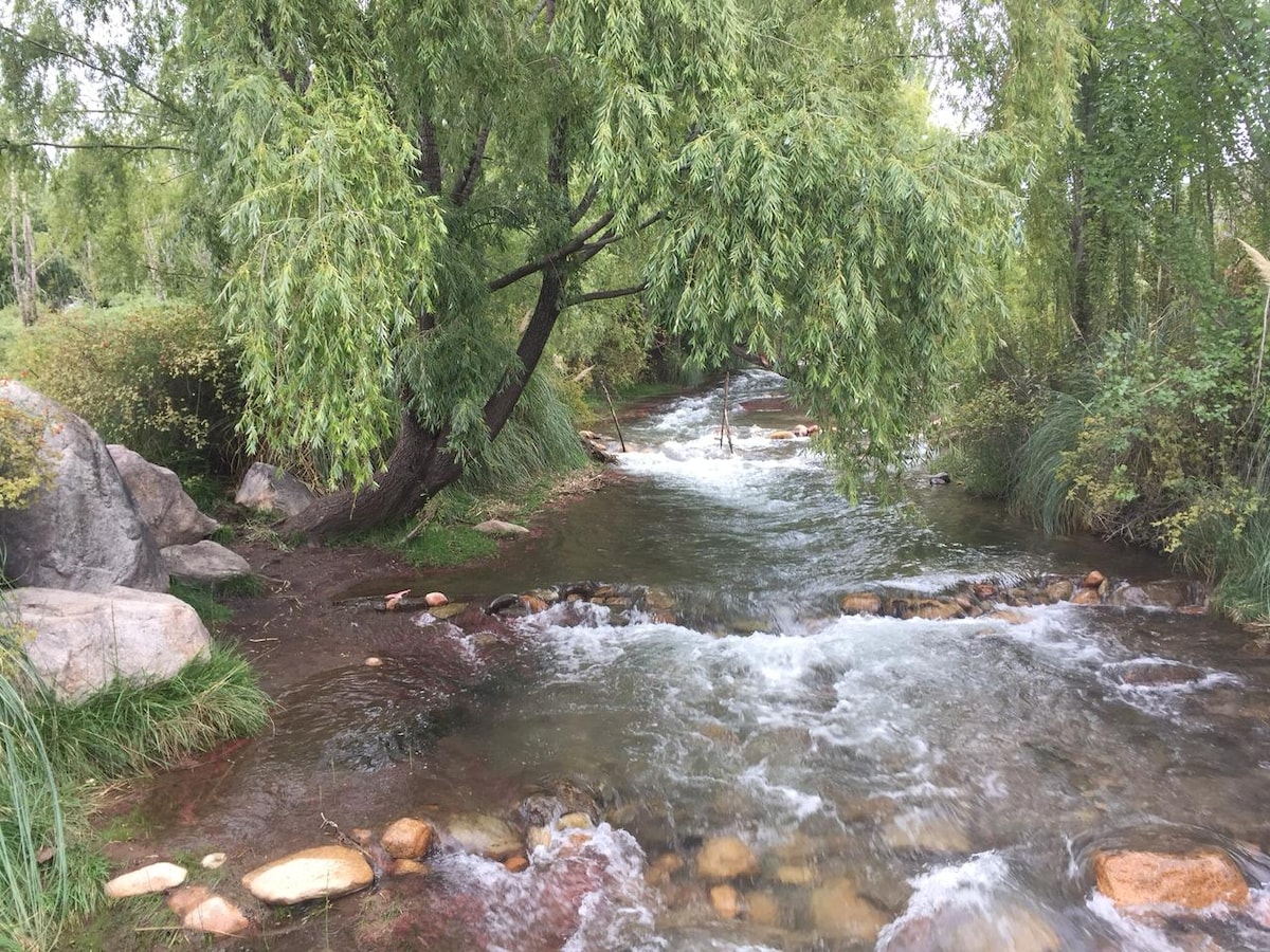 A gentle stream flows through the landscape, bordered by smooth stones and lush greenery. Trees provide shade, their branches arching over the water. The clear water reflects the surrounding vegetation, creating a serene natural environment.