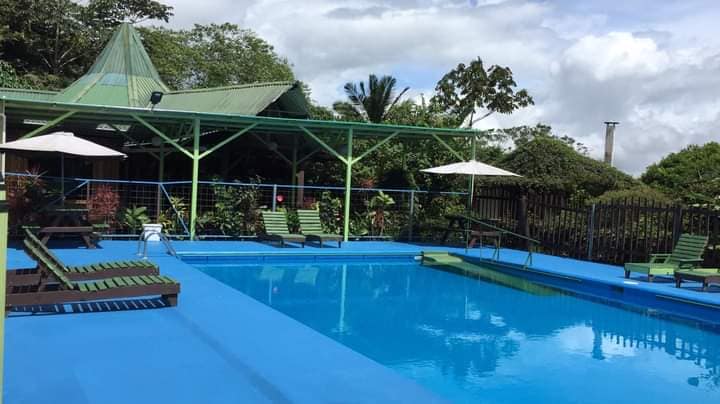 A vibrant swimming pool area is surrounded by lush greenery, with sun loungers arranged on a blue deck. A covered seating area is visible in the background, protected by a triangular roof. Two umbrellas provide shade for relaxation near the pool's edge.