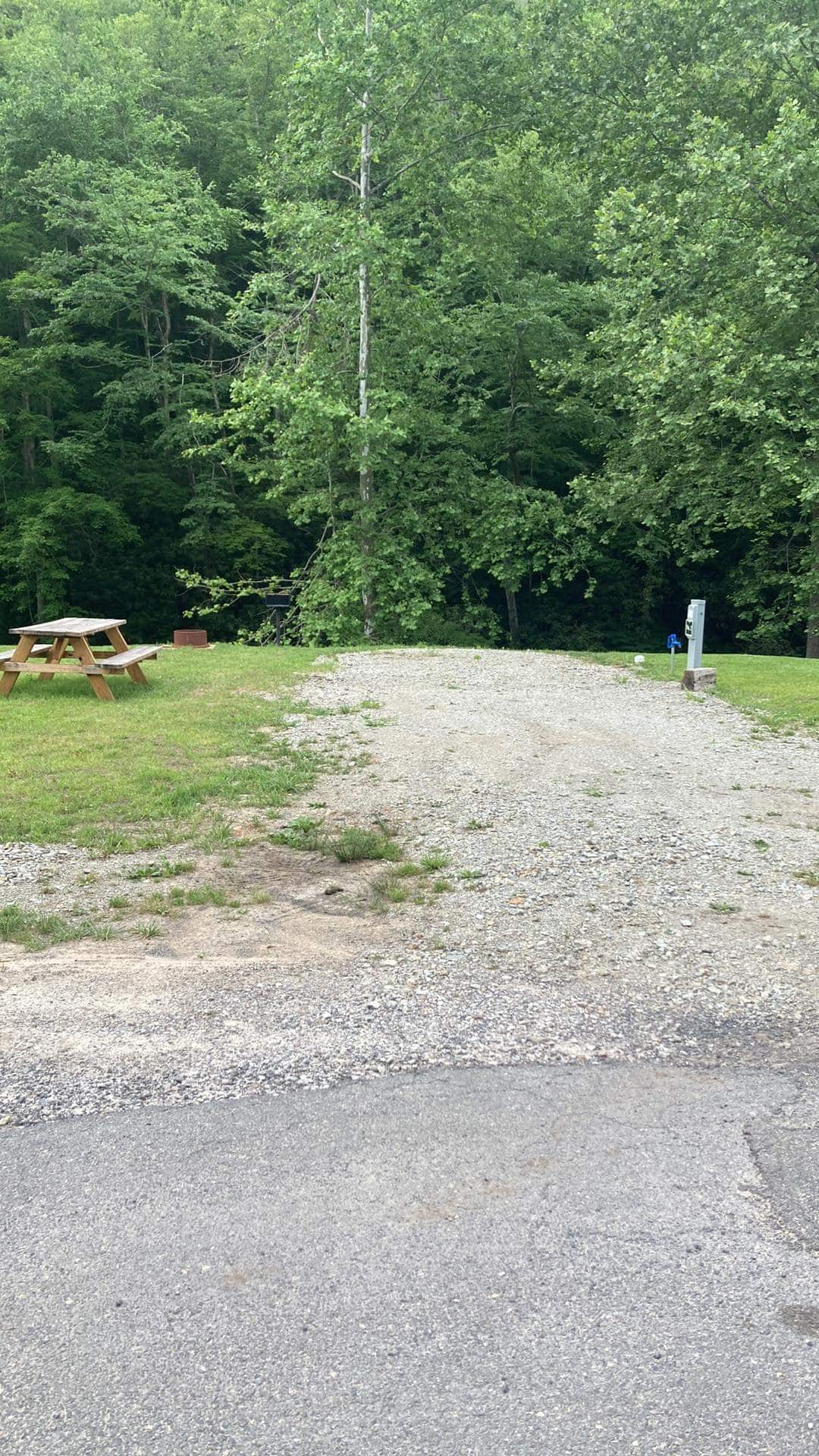 A gravel pathway leads through a grassy area, bordered by trees. A picnic table is situated nearby, providing a place for outdoor dining. A utility post is visible, offering electric hook-ups for RVs, enhancing the camping experience.