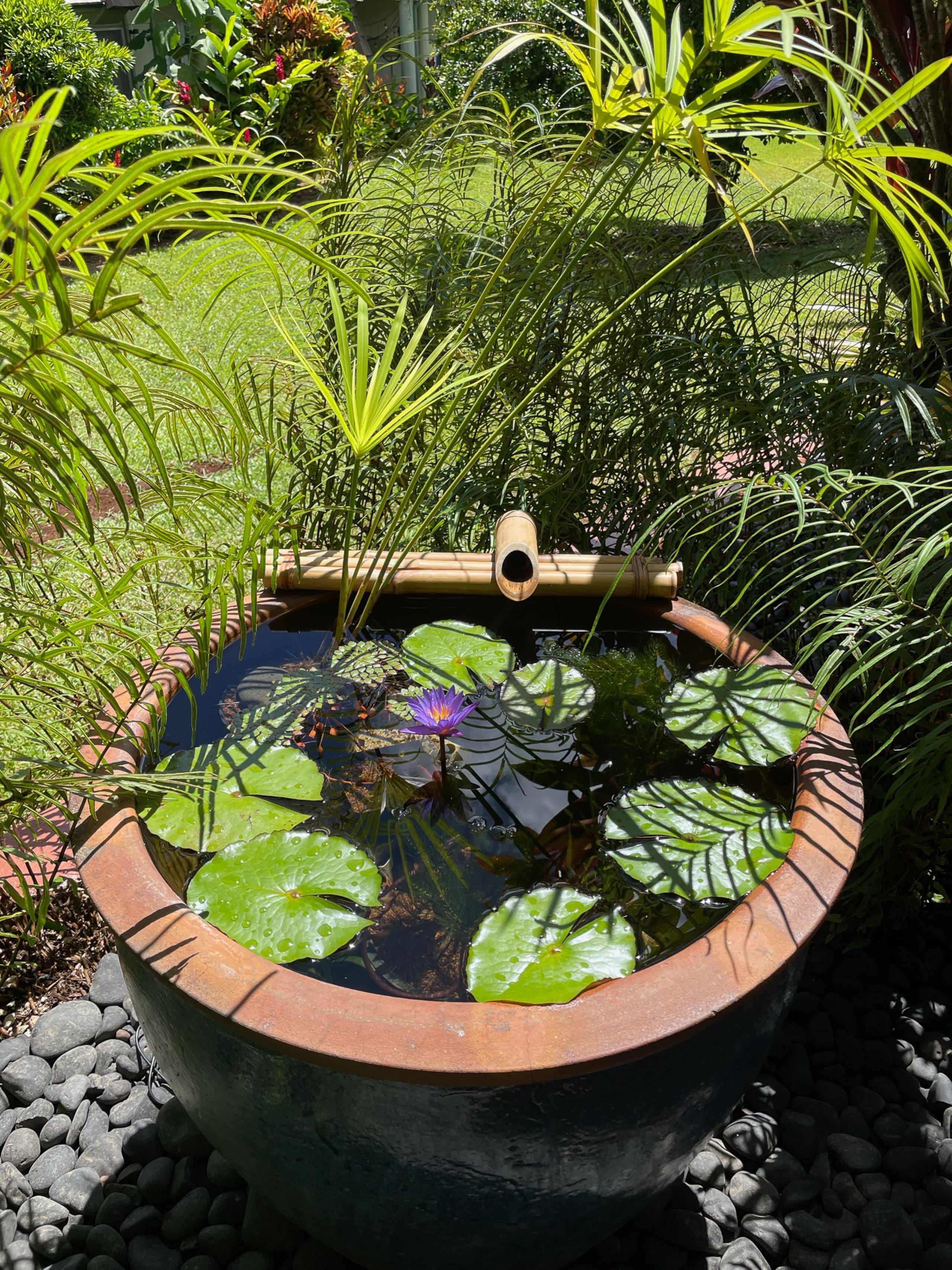 Townhouse in Princeville · ★4.95 · 2 bedrooms · 3 beds · 2 private baths - Image 26