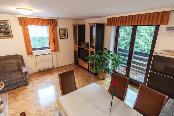 Apartment Satya | Green Oasis+option Of Therapies - Velenje
