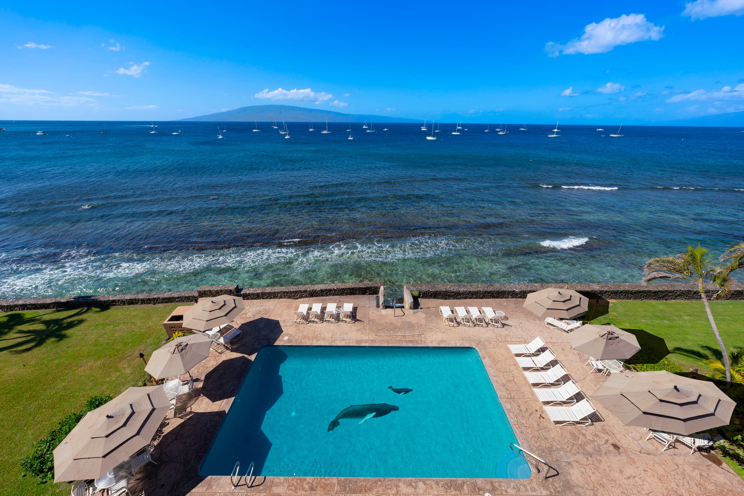 Condo in Lahaina · ★4.95 · 2 bedrooms · 3 beds · 2 baths - Image 33