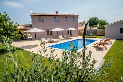 Successful Airbnb property: Villa Flegar in Općina Svetvinčenat