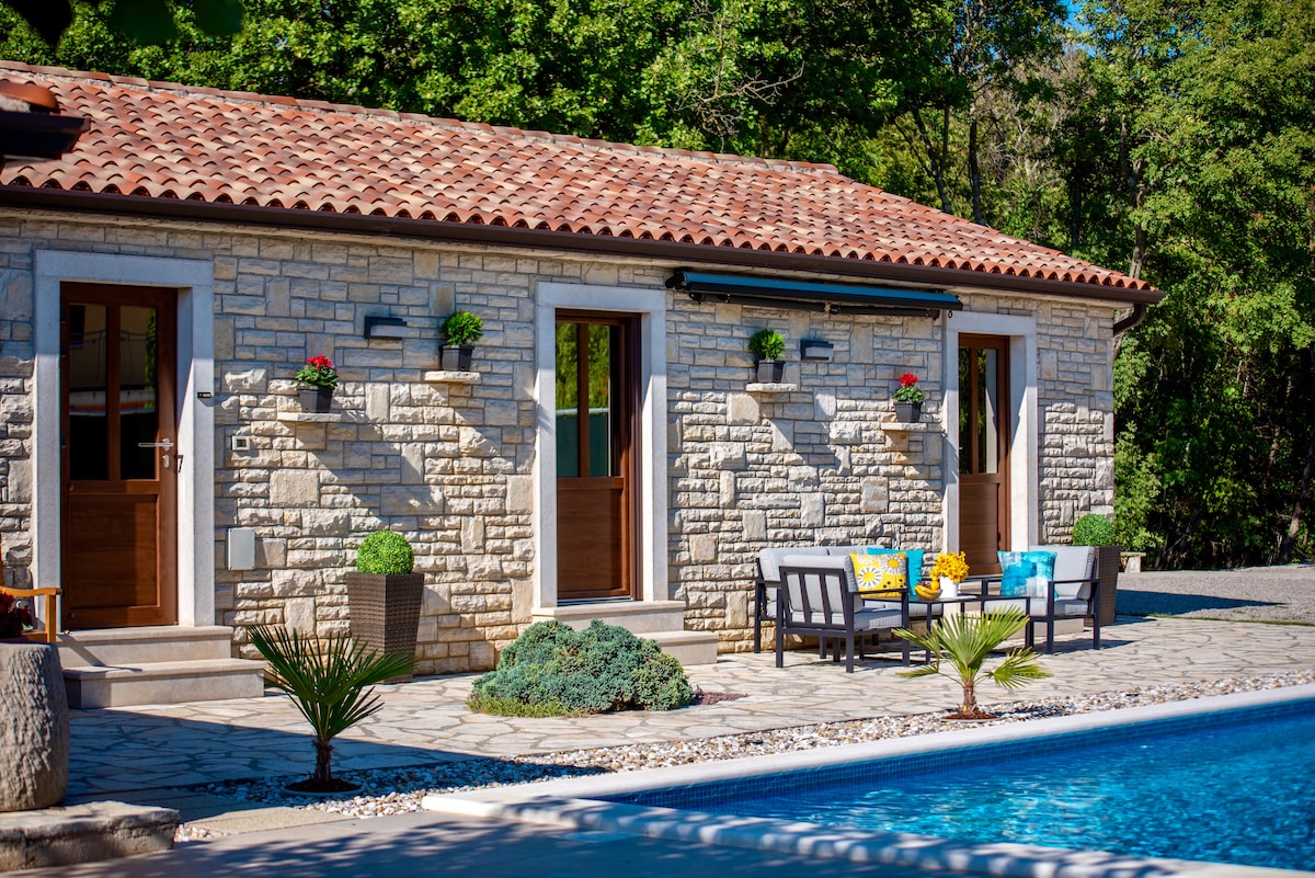 A charming Istrian stone house is set against a lush green backdrop. The exterior features three doors and an outdoor seating area with cushions and colorful pillows. A private pool invites relaxation, with sunlight enhancing the tranquil atmosphere.