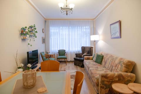kurtulus 19 mayis kiralik tatil evleri ve evler 19 mayis sisli turkiye airbnb