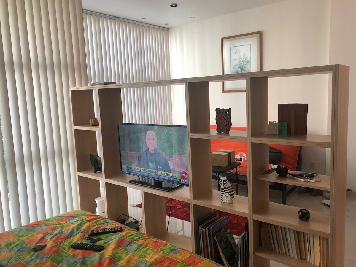 A room is displayed with a wooden shelf partition separating the sleeping area and a living space. A television sits on the shelf, facing a vibrant sofa placed against the wall. Various decorative items and books are visible on the shelf, enhancing the interior design.